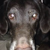 Catherine Egerton's photo