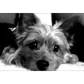 Phil Poutre's photo