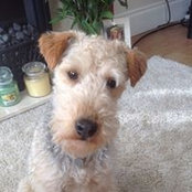 Sally Keating's photo