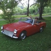 Tim Elrod's photo