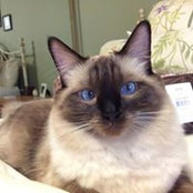 Gail Drouin's photo