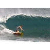 Franck Bywalski's photo