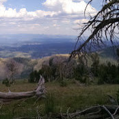 Jaece Newman's photo