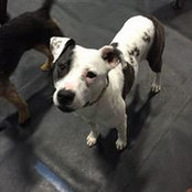 Gina Hefner's photo