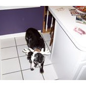 Stephanie Doutrick's photo