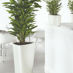 Modern Planter - Products