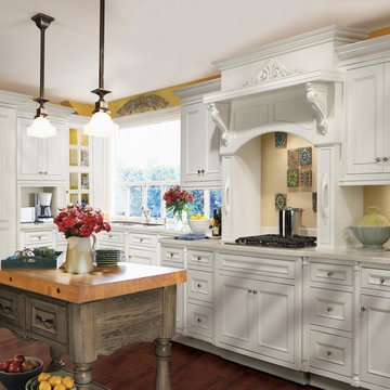 DeWils Expressions Collection Avalon Door Style