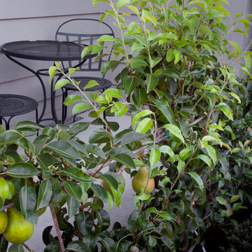 Waterfalls and Boulder Retaining Walls in SW Portland, Oregon