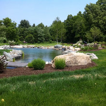 Pond