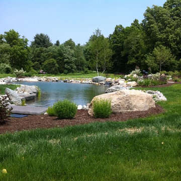Charlotte Natural Swimming Pond