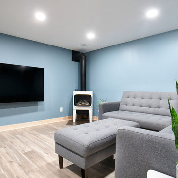 Project 3680-1 Minneapolis Scandinavia Modern Whole House Renovation