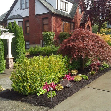 Kirkland - Plant Lover's Garden with No-Lawn