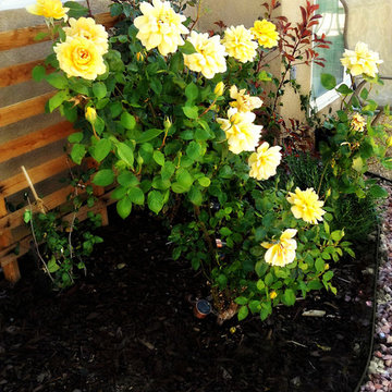 Flower bed creations