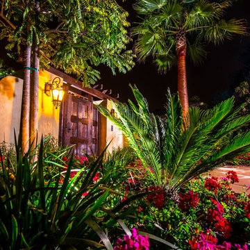 Outdoor Oasis