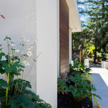 Eichler Remodel (Camera Installation)