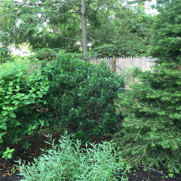 mixed border