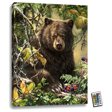 "Black Bear Woods" 18x24 Fully Illuminated LED Wall Art