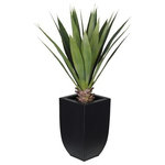 House of Silk Flowers, Inc. - Artificial Tabletop Yucca in Matte Black Zinc Vase - You will never have to worry about caring for your succulents again. This arrangement contains an artificial tabletop yucca "potted" in a matte black zinc pot (10 3/4" tall x 6 1/2" x 6 1/2"). The overall dimensions are measured tip to tip, bottom of planter to tallest tip: 26" tall x 16" diameter. All measurements are approximate and will be determined by your final shaping of the item upon unpacking it. No arranging is necessary, only minor shaping, with the way in which we pack and ship our products. This is only intended for indoor use.