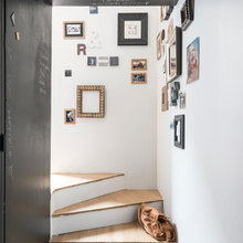 Int. - Déco Cabinet de curiosités