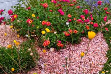This is an example of a mid-sized mediterranean drought-tolerant and full sun backyard landscaping in Las Vegas for fall.