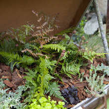 Gardening/landscape