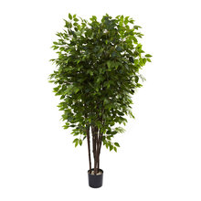 trees