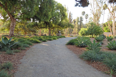 Design ideas for a contemporary landscaping in San Diego.