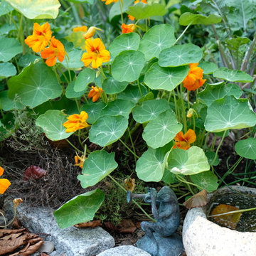 Rustic Peastone Patio & Garden - World's End, Hingham