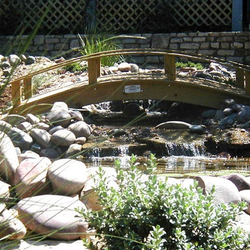 Peterson's Pond