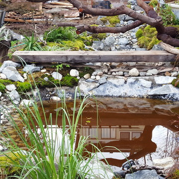 Zen Water project - ongoing