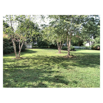 Pearson Farms Apex Homes with Yards