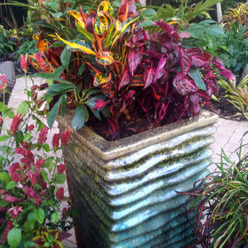 Colorful Containers