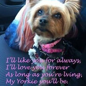 Antoinette Toscano's photo
