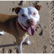 Marge Knopfler's photo