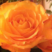 S. S.'s photo