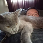 David Sullivan's photo