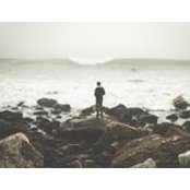 Anthony Nguyen's photo
