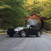 Michael Hertzberg's photo