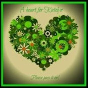 Stacie Boswell's photo