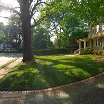 Elite Tall Fescue Lawn