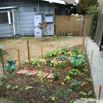 Edible Landscapes