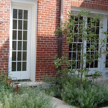 Courtyard Garden