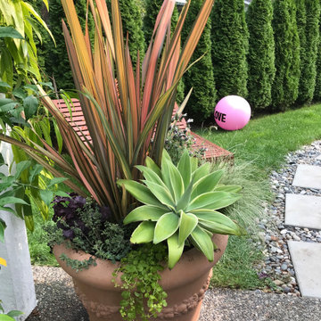Mediterranean Garden in Tsawwassen
