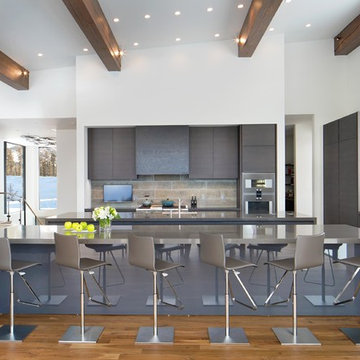 Contemporary Kitchen