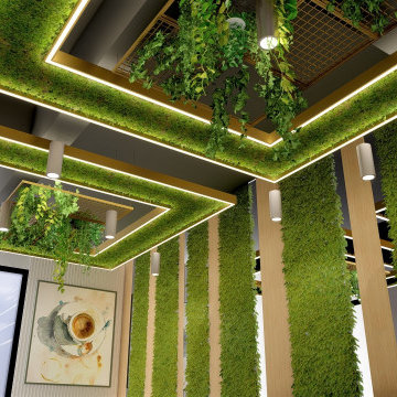Hush Bean's Cafe Design