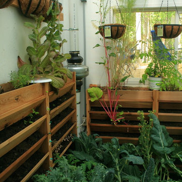 A mountain greenhouse