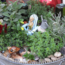 Fairy Garden