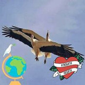 Александр Клоков's photo