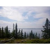 Peter Widin's photo
