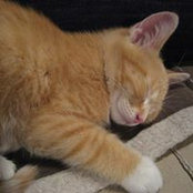 Micheline Di Giacomo's photo